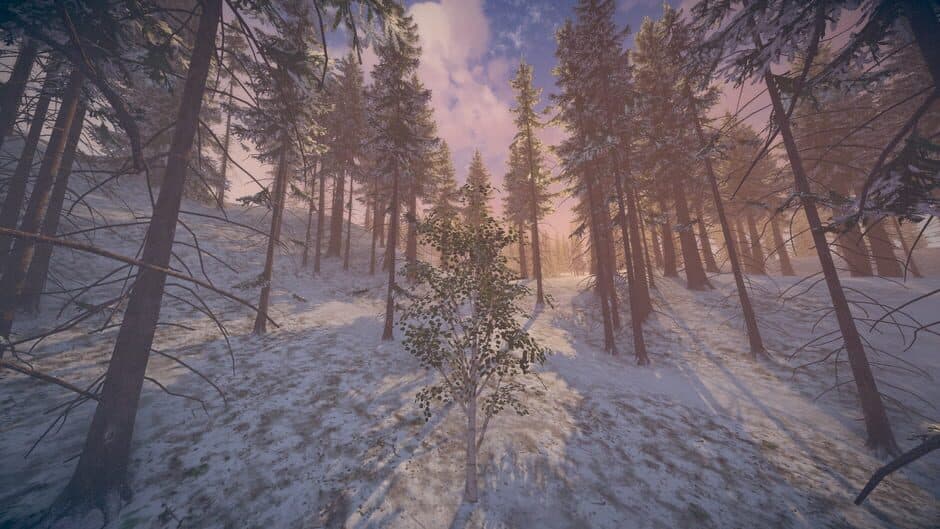 Скриншот 7 из Birch Simulator