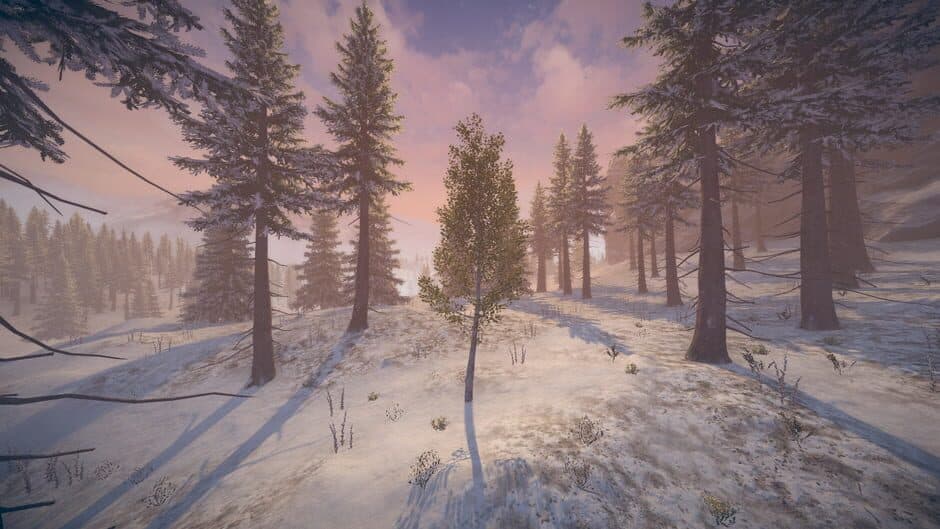 Скриншот 11 из Birch Simulator