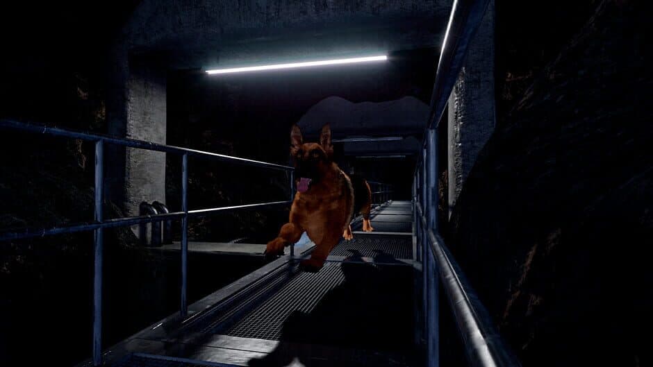 Скриншот 9 из Doggy Up!