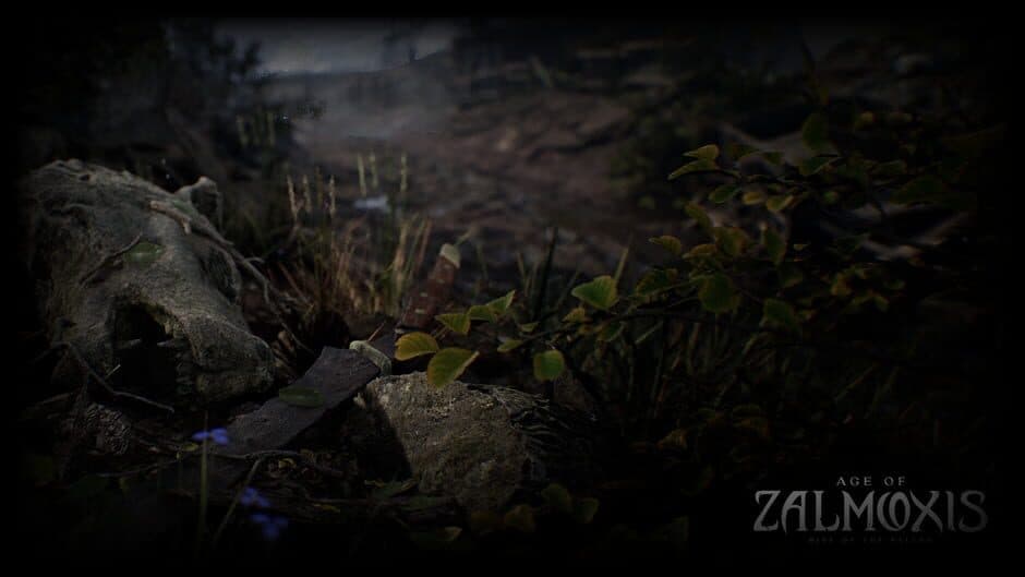 Скриншот 1 из Age of Zalmoxis: Rise of the Fallen