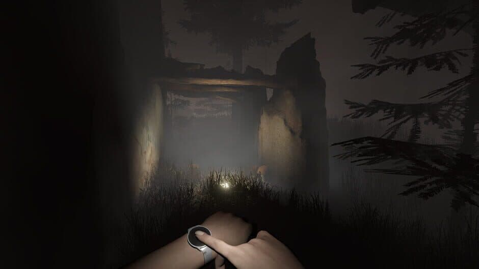Скриншот 4 из Sylvio: Black Waters