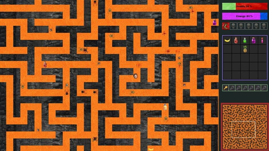 Скриншот 2 из Australian Maze