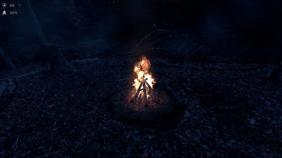 Скриншот 1 из The Holyburn Witches