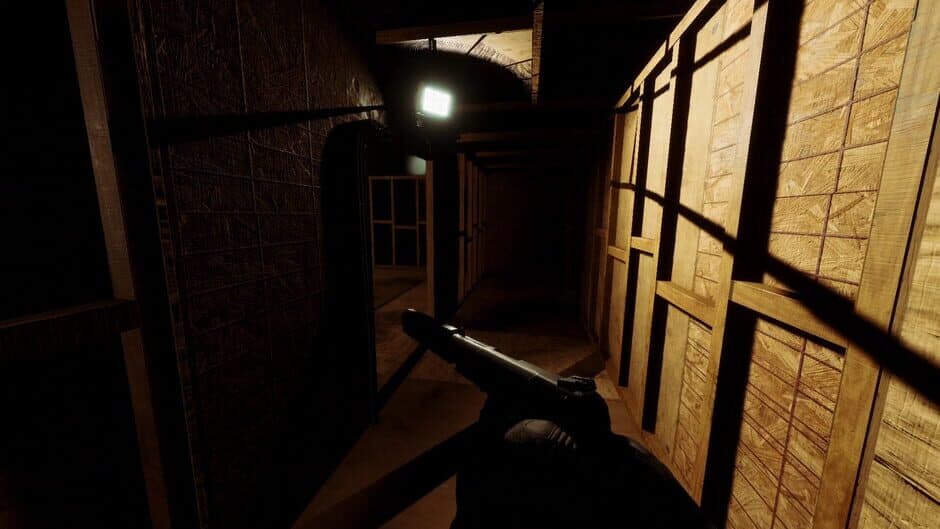 Скриншот 4 из Covert Ultra