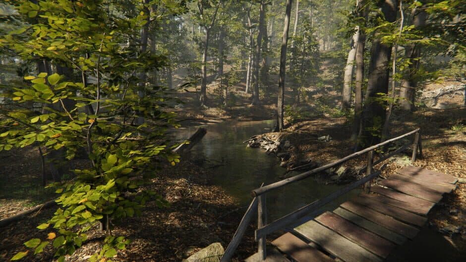 Скриншот 2 из Camping Vlog Simulator 2024