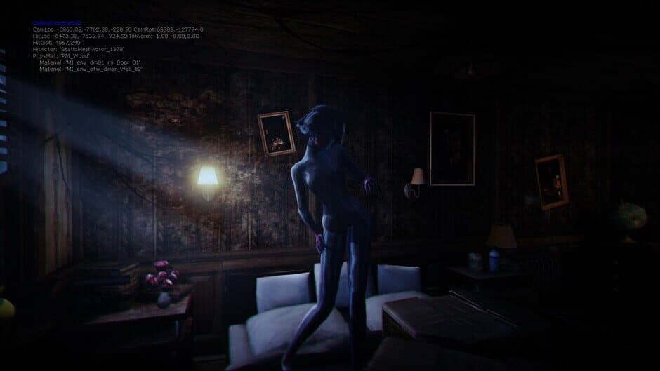 Скриншот 8 из Silent Hill: The Gallows