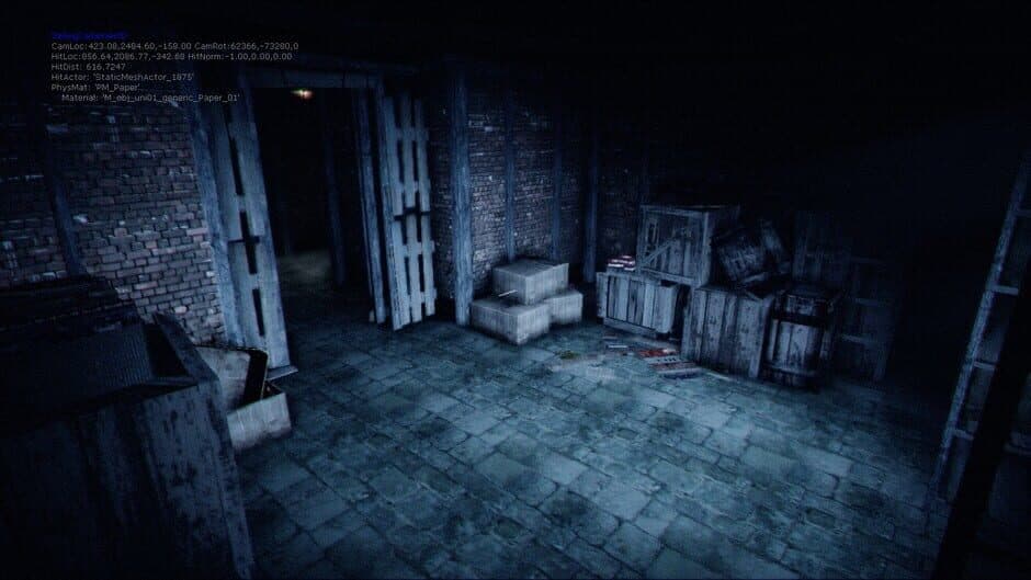 Скриншот 9 из Silent Hill: The Gallows