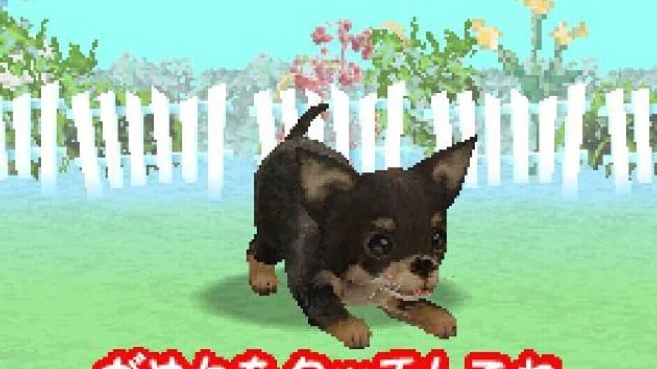 Скриншот 2 из Wan Nyan Doubutsu Byouin