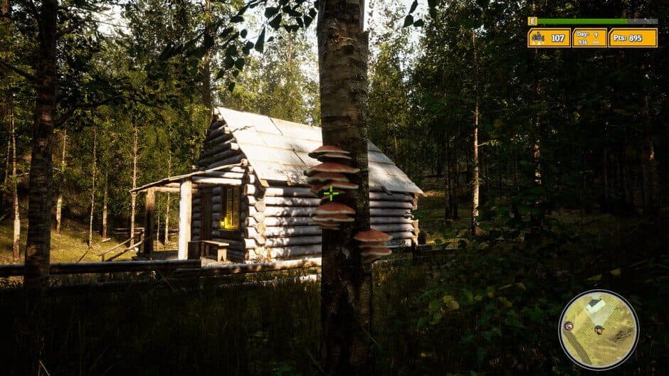 Скриншот 5 из Morels: The Hunt 2