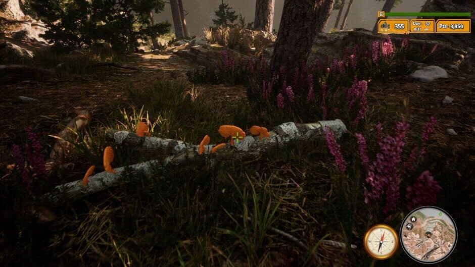 Скриншот 3 из Morels: The Hunt 2