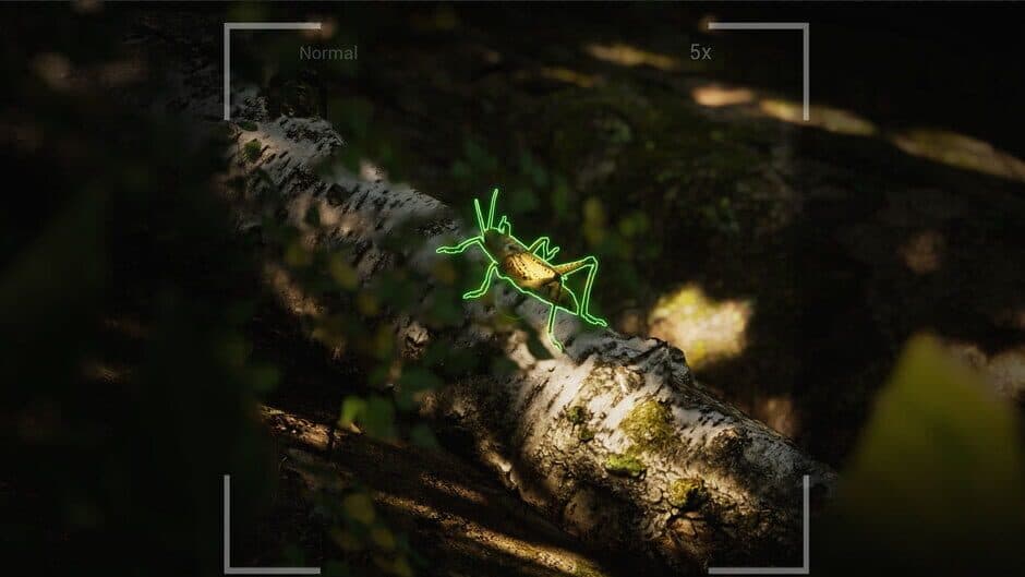 Скриншот 4 из Morels: The Hunt 2