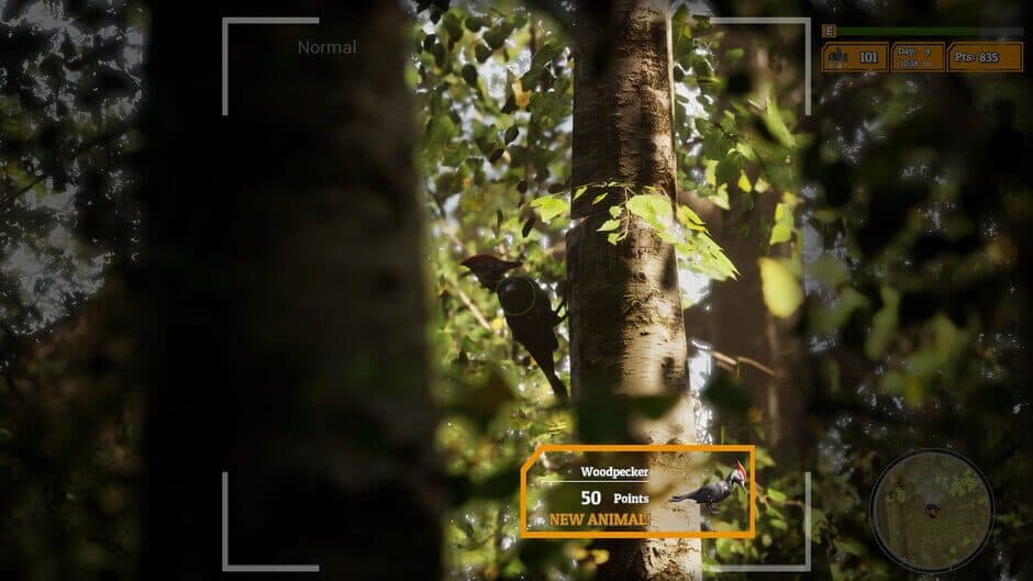 Скриншот 6 из Morels: The Hunt 2
