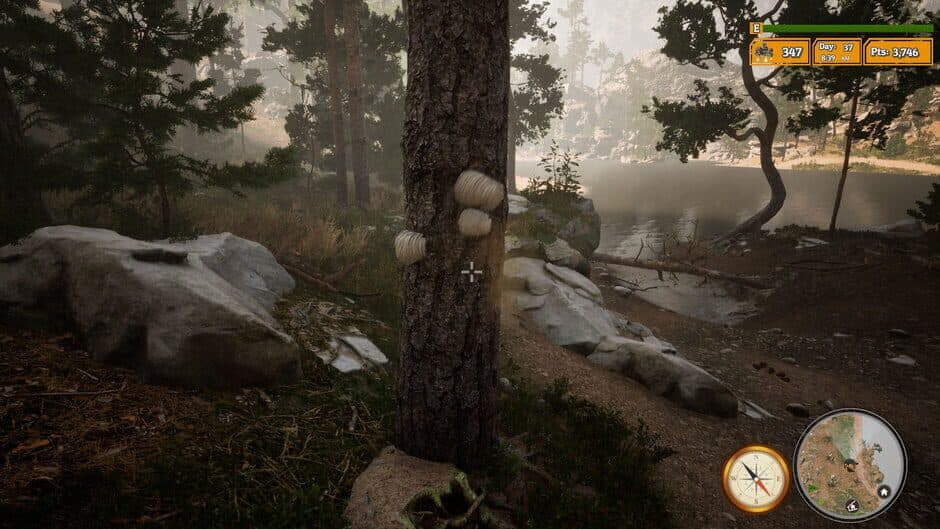 Скриншот 7 из Morels: The Hunt 2
