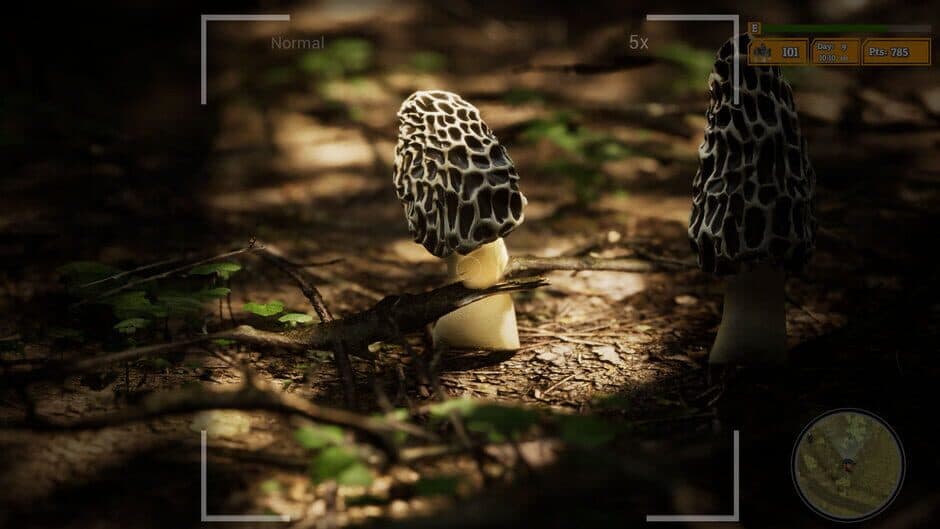 Скриншот 9 из Morels: The Hunt 2