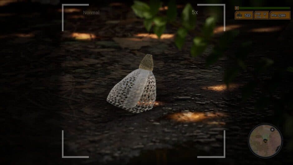 Скриншот 11 из Morels: The Hunt 2