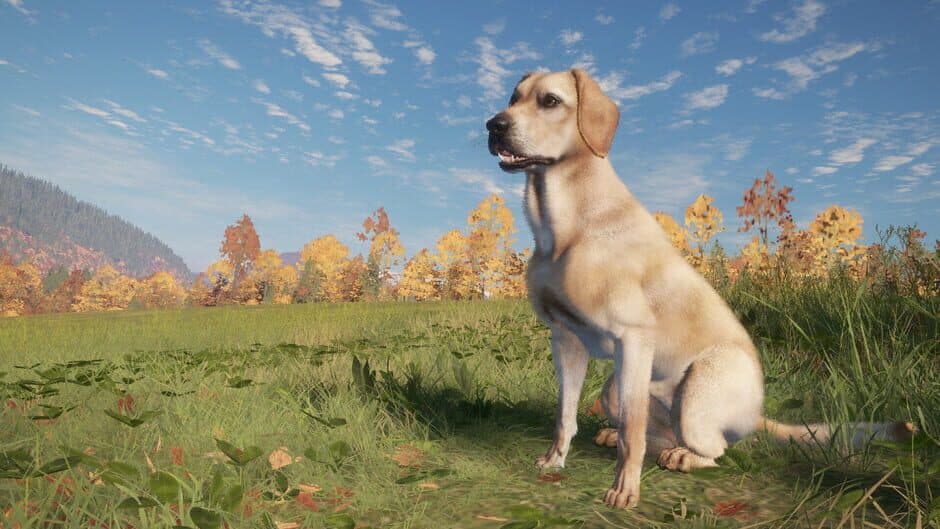 Скриншот 2 из TheHunter: Call of the Wild - Labrador Retriever