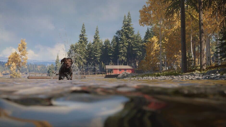 Скриншот 6 из TheHunter: Call of the Wild - Labrador Retriever