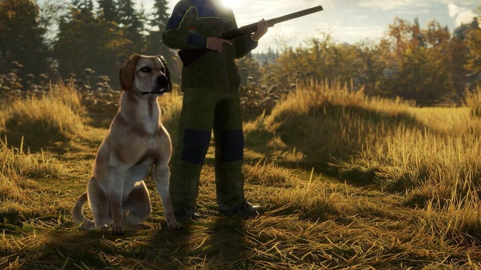 Скриншот 7 из TheHunter: Call of the Wild - Labrador Retriever