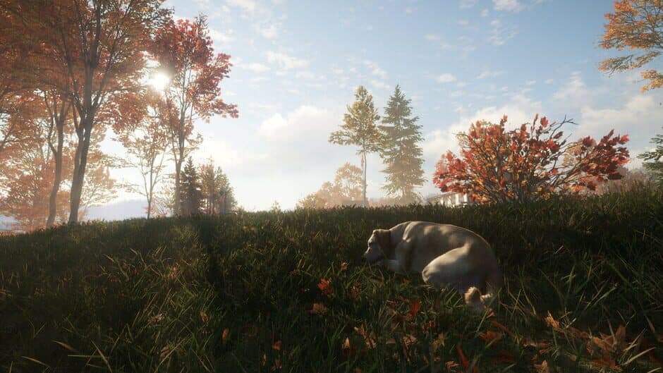 Скриншот 1 из TheHunter: Call of the Wild - Labrador Retriever