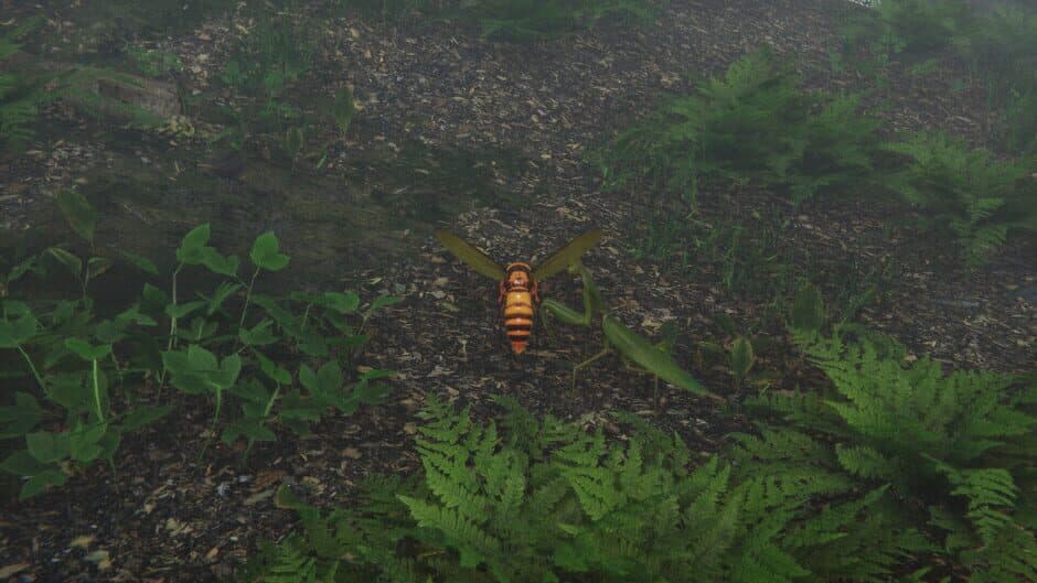 Скриншот 6 из Giant Hornet