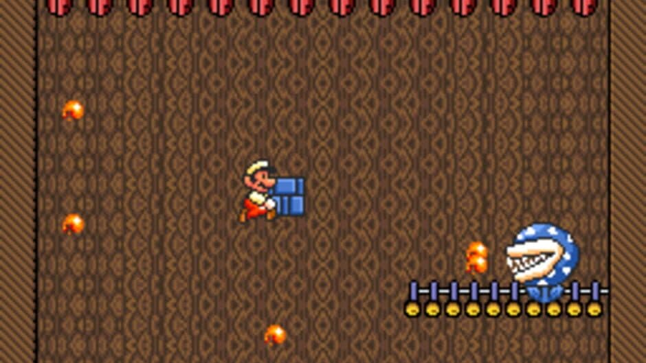Скриншот 5 из Bowser's Revenge 2