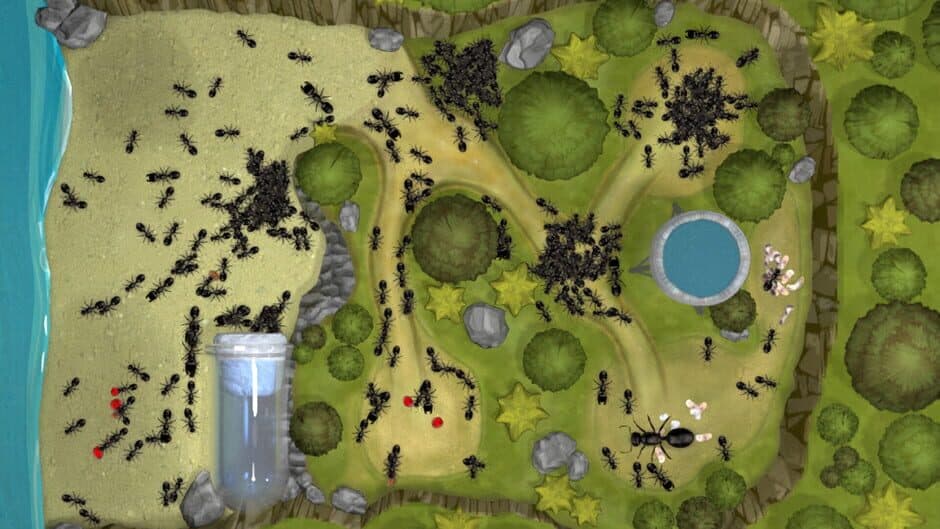 Скриншот 2 из Ant Farm Simulator