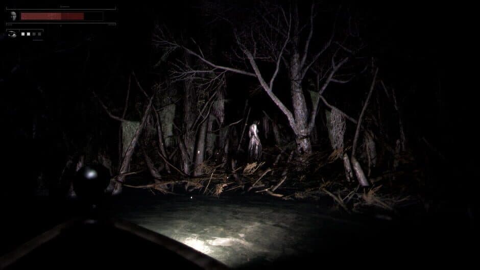 Скриншот 3 из Drowned Lake