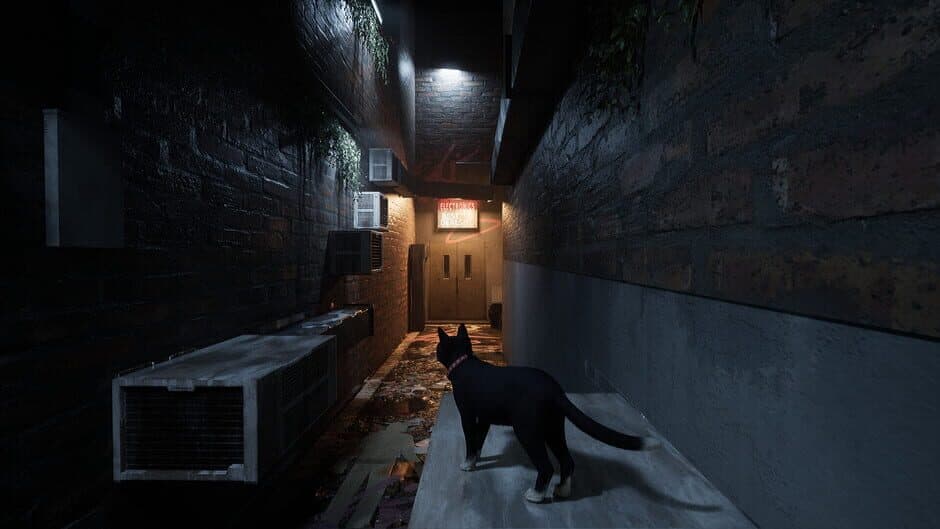Скриншот 2 из Project Paws
