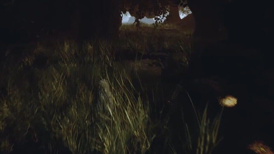 Скриншот 4 из The Phantom Forest