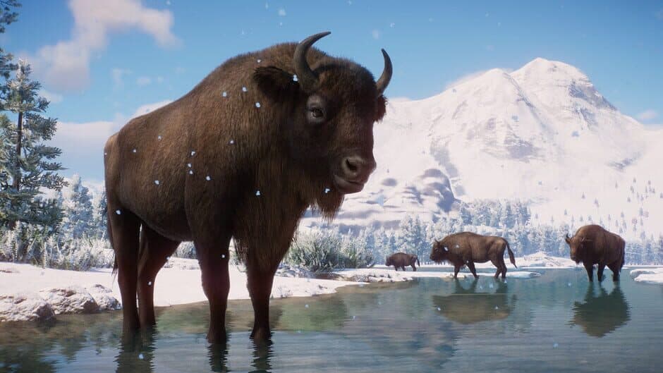 Скриншот 1 из Planet Zoo: Eurasia Animal Pack