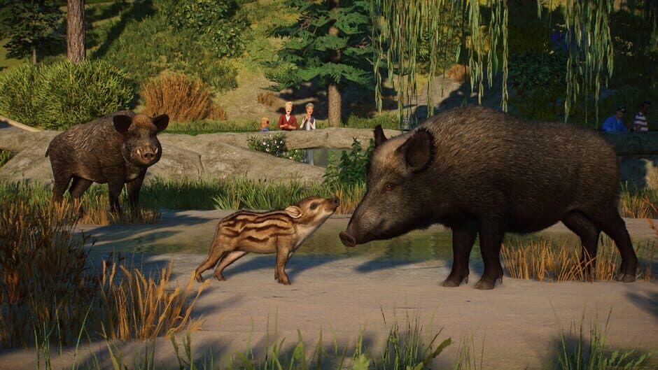 Скриншот 3 из Planet Zoo: Eurasia Animal Pack