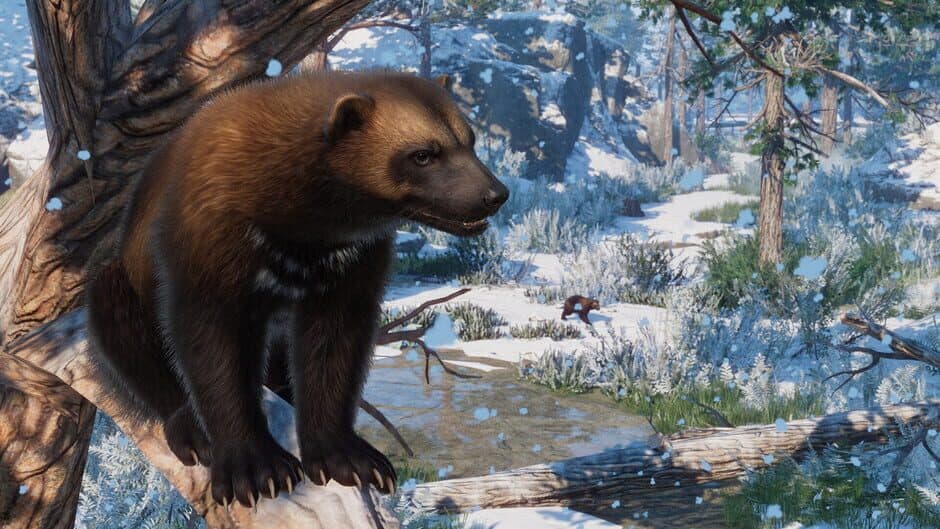 Скриншот 5 из Planet Zoo: Eurasia Animal Pack