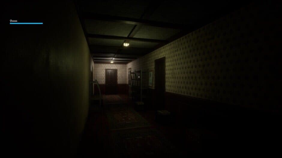 Скриншот 4 из Veranoia: Nightmare of Case 37