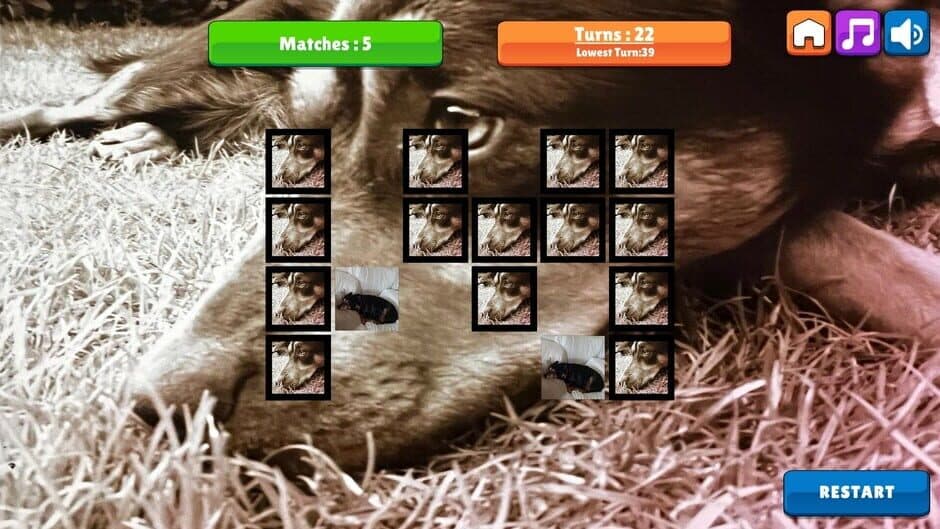 Скриншот 1 из OG Memory: Kira Maus