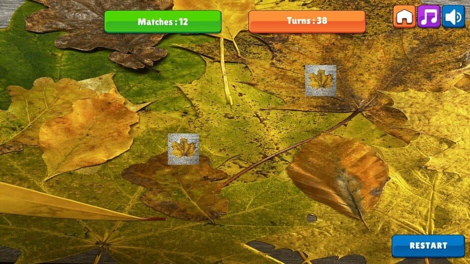 Скриншот 2 из OG Memory: Fall 2K23