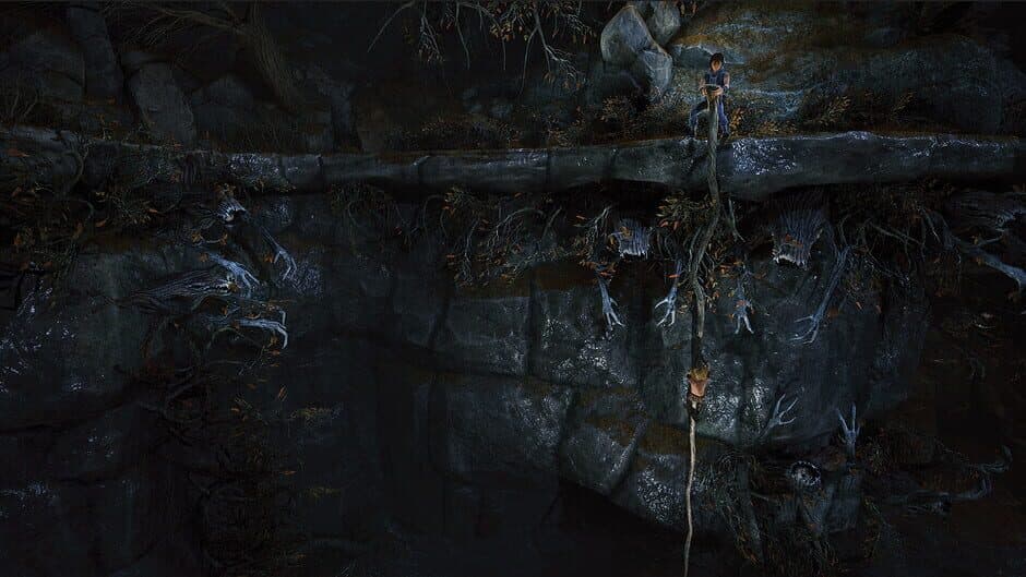 Скриншот 8 из Brothers: A Tale of Two Sons Remake