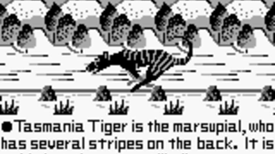 Скриншот 2 из Tasmania Story