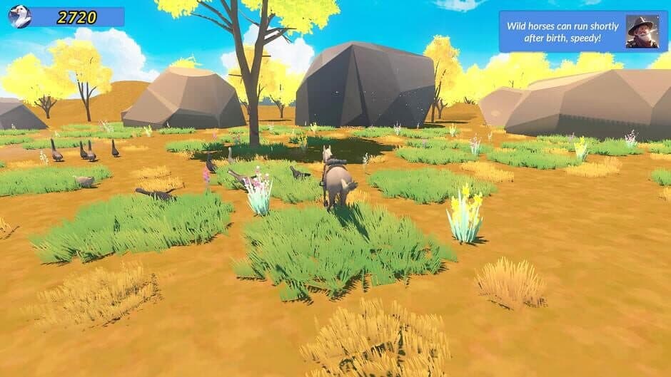 Скриншот 1 из Meadow Gallop
