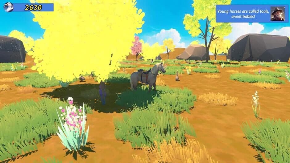 Скриншот 4 из Meadow Gallop