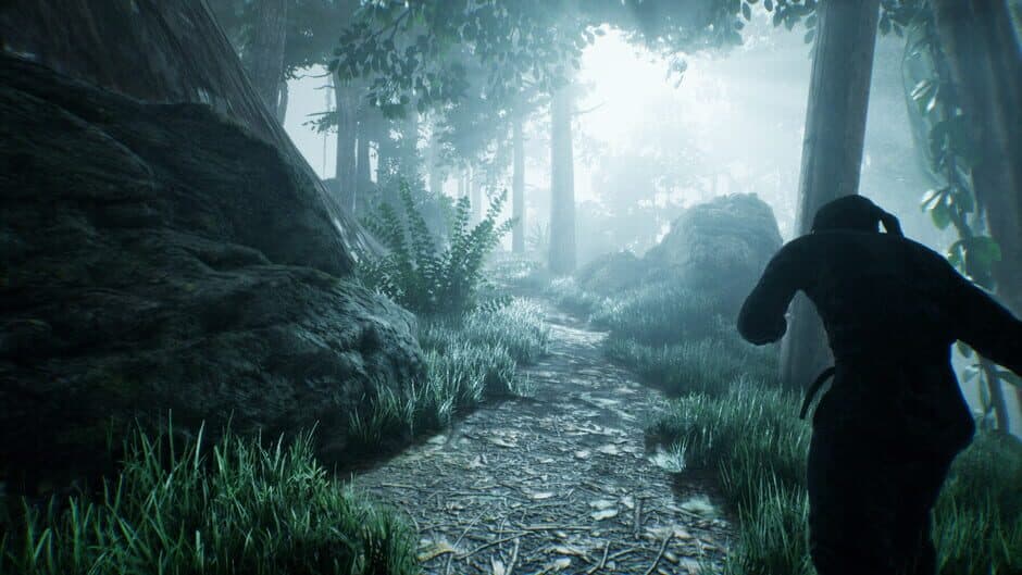 Скриншот 1 из Ninja: The Lost Legacy