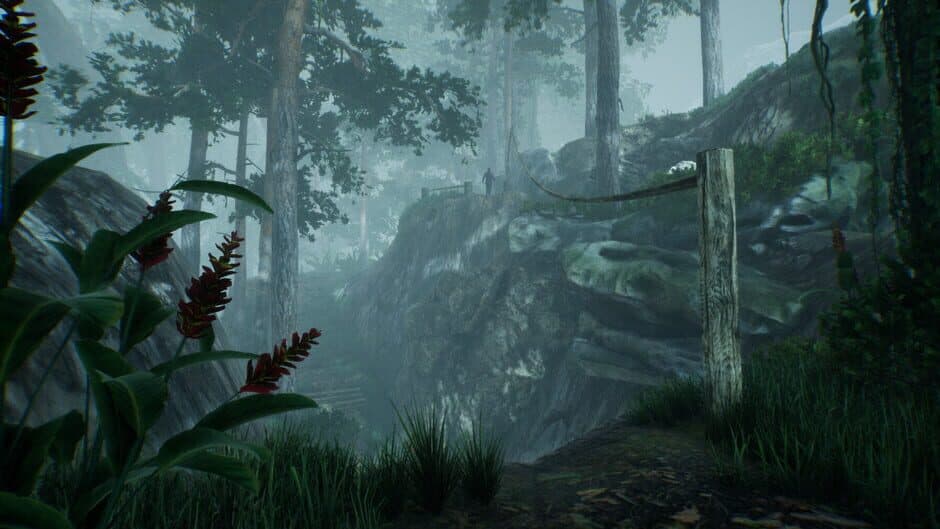 Скриншот 4 из Ninja: The Lost Legacy