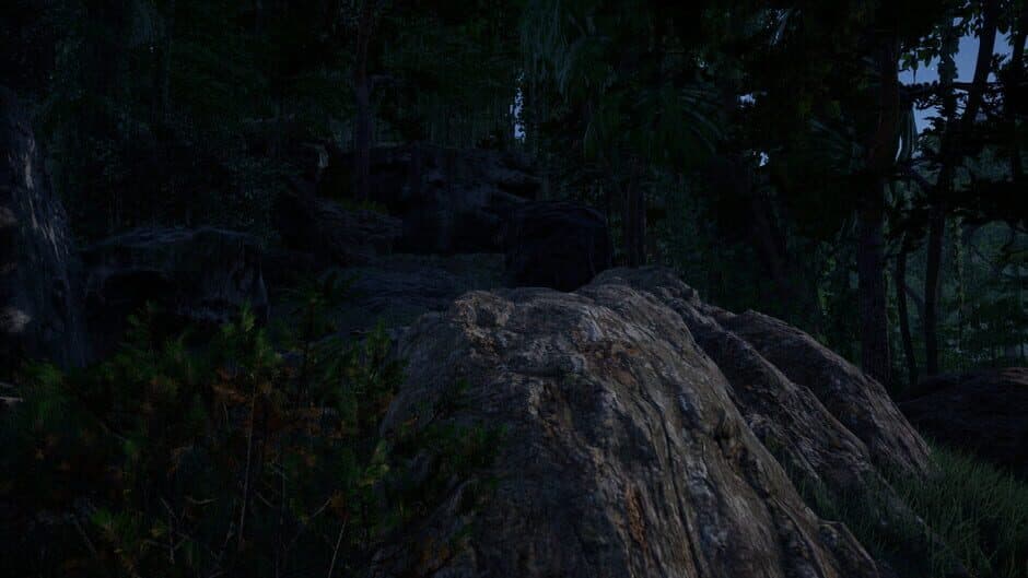 Скриншот 7 из Ninja: The Lost Legacy