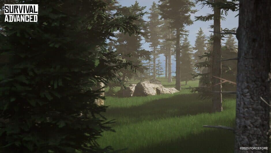 Скриншот 2 из Survival Advanced
