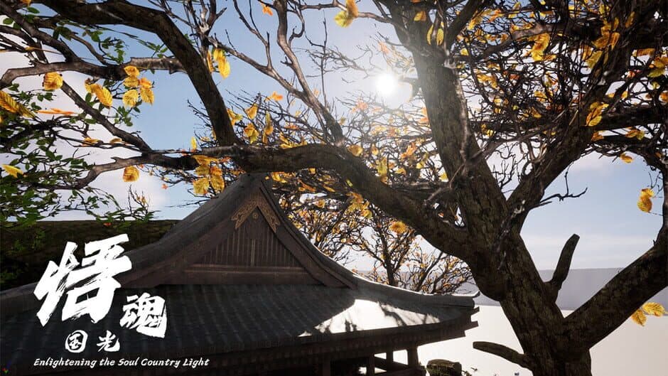 Скриншот 1 из Enlightening the Soul Country Light
