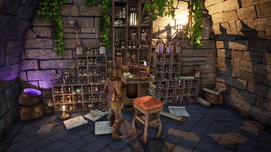 Скриншот 1 из Medieval Life