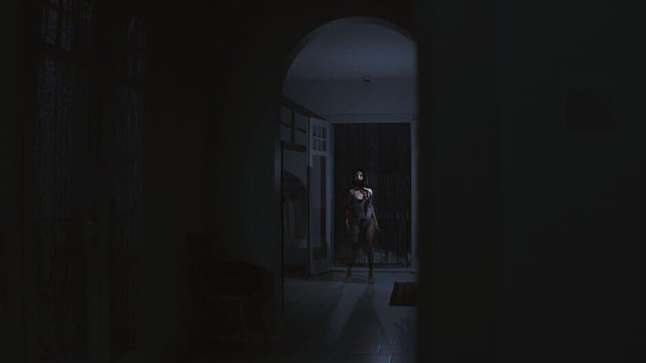 Скриншот 1 из Supernormal