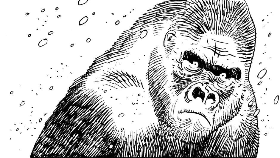 Скриншот 1 из Bigfoot's Journey