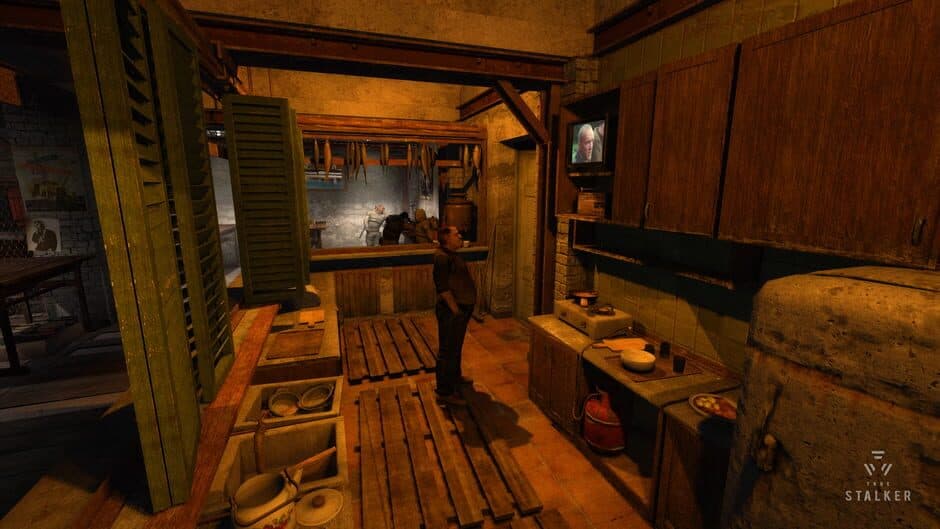 Скриншот 2 из True Stalker
