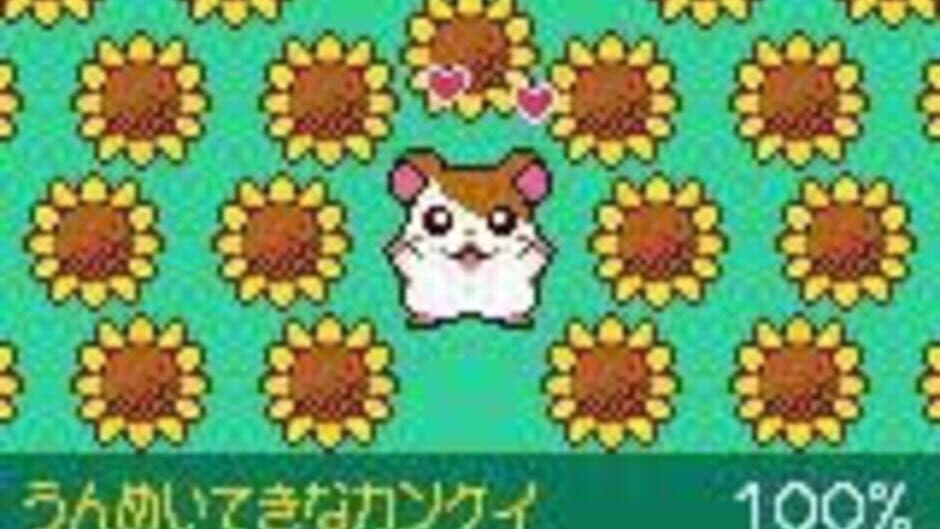 Скриншот 3 из Tottoko Hamtaro: Tomodachi Daisakusen Dechu