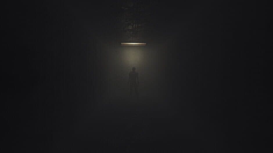 Скриншот 2 из Void Inside